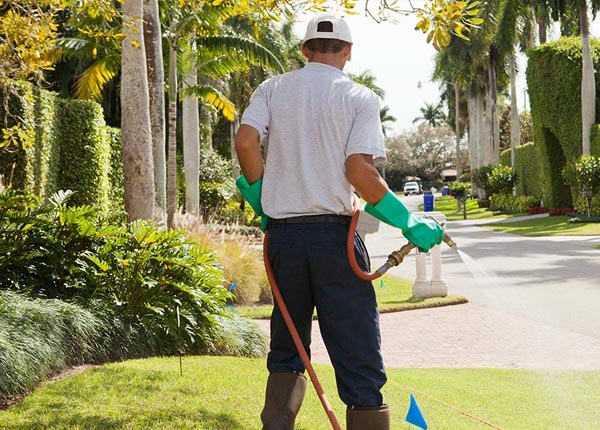 About Jamestown KS Pest Control
